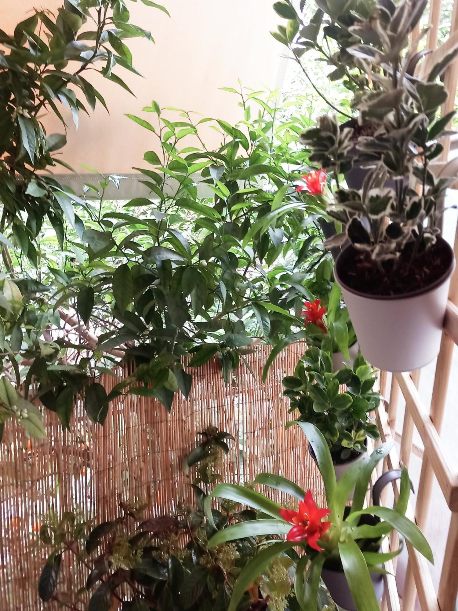 Appartement Cozy In Athènes